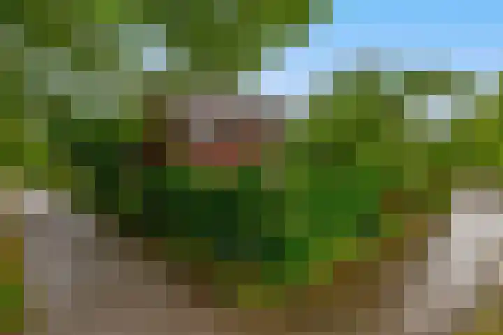 Prins Bernhardstraat 2 Lekkerkerk thumbnail 60