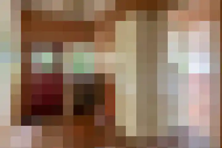 Prins Bernhardstraat 2 Lekkerkerk thumbnail 8
