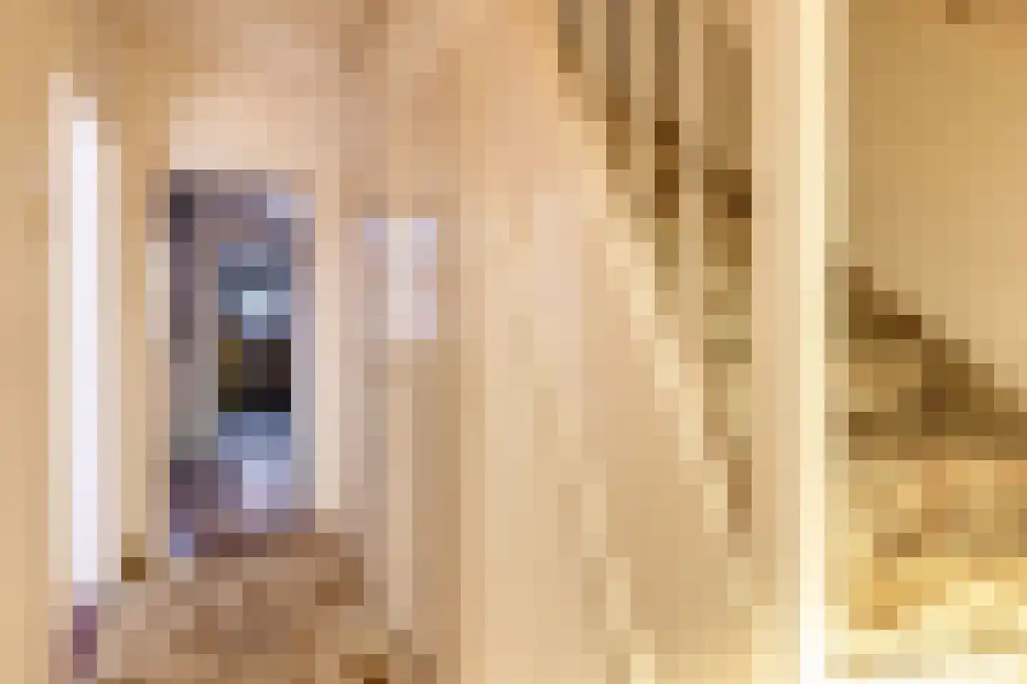 Prins Bernhardstraat 2 Stellendam thumbnail 7