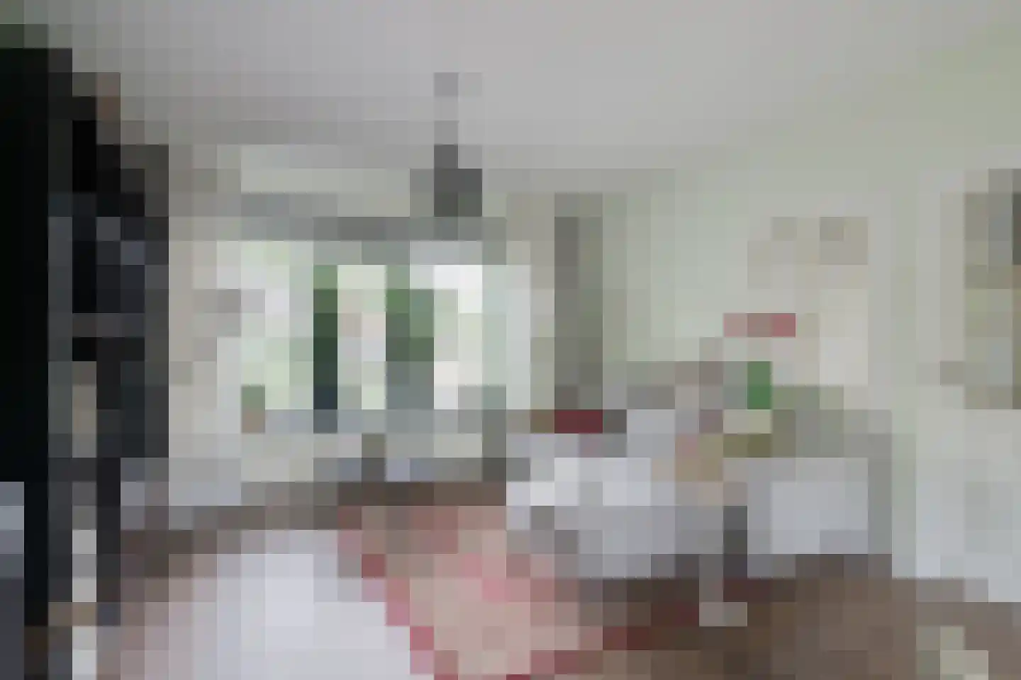 Prins Bernhardstraat 20 A Silvolde thumbnail 10