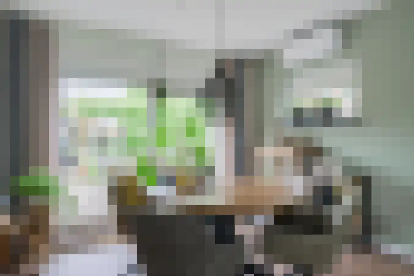 Prins Bernhardstraat 20 A Silvolde thumbnail 12