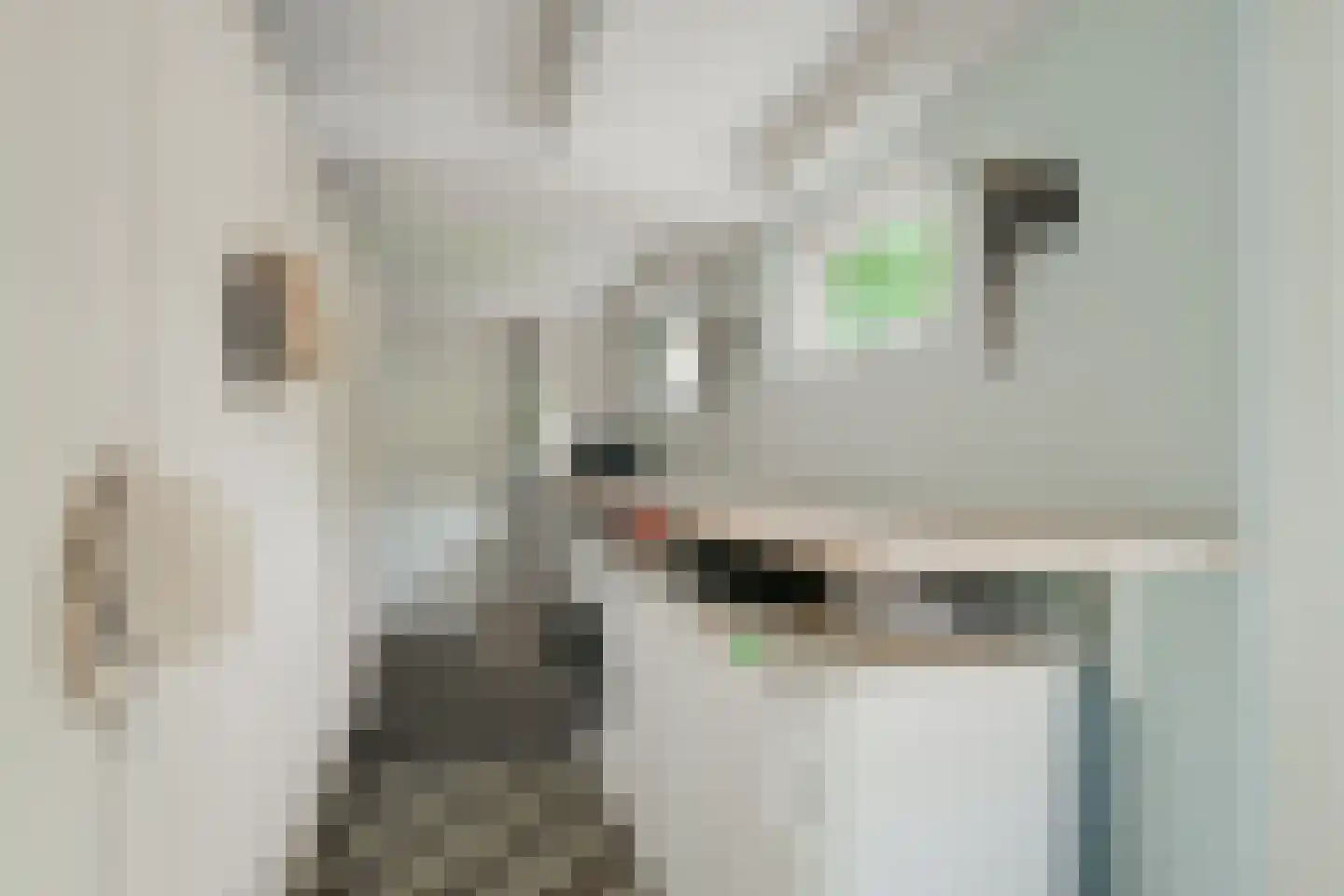 Prins Bernhardstraat 20 A Silvolde thumbnail 20