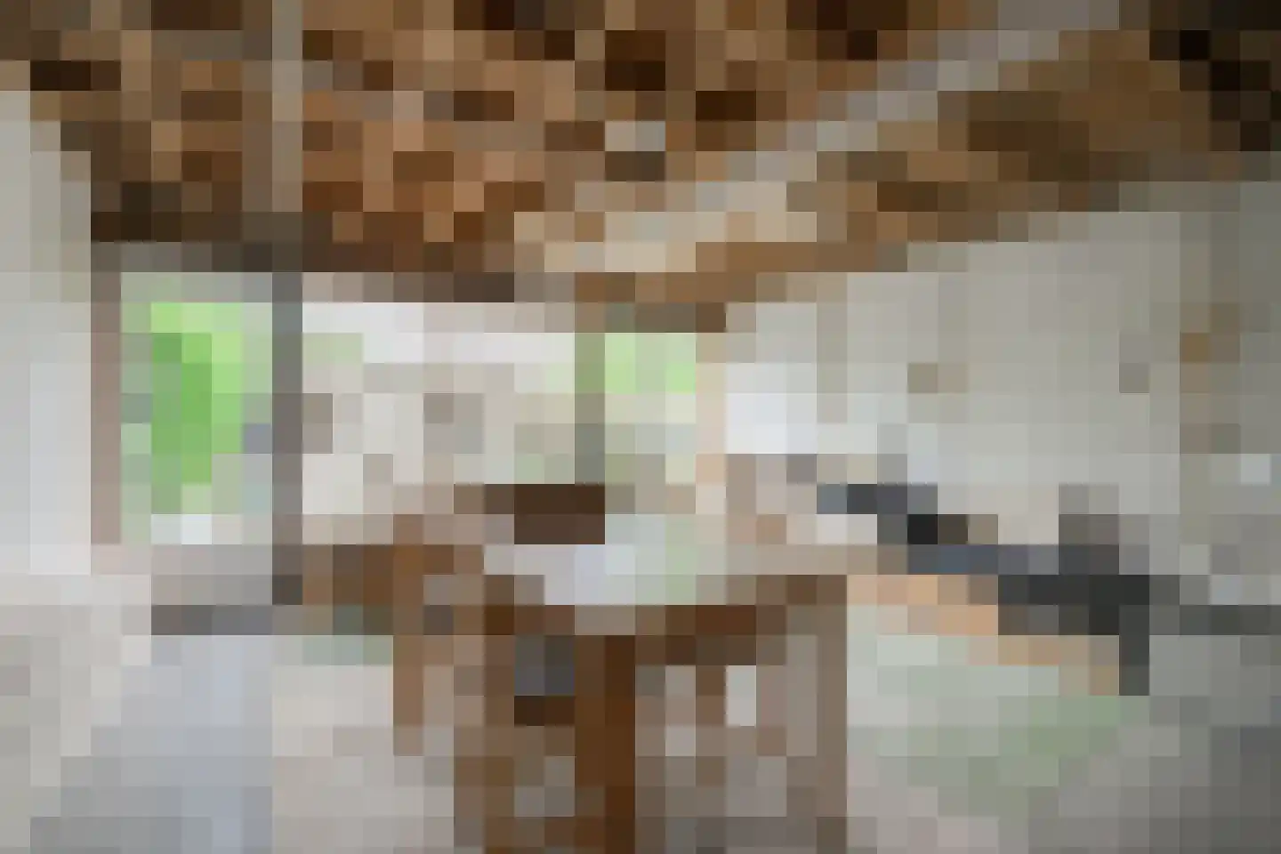 Prins Bernhardstraat 20 A Silvolde thumbnail 21