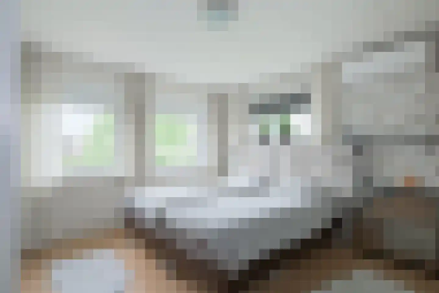 Prins Bernhardstraat 20 A Silvolde thumbnail 25