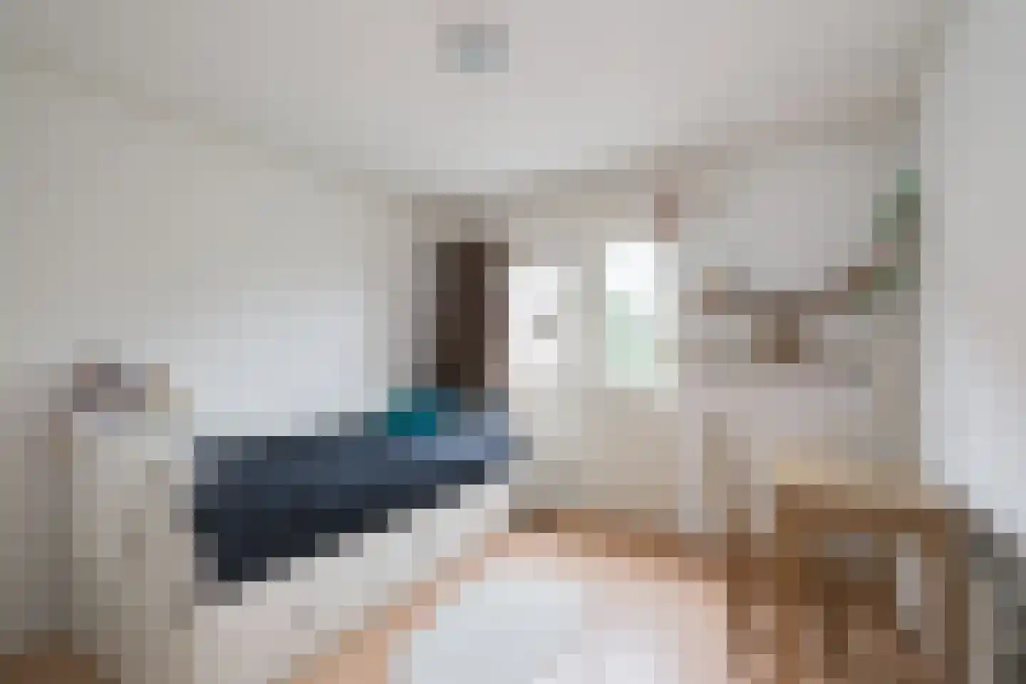Prins Bernhardstraat 20 A Silvolde thumbnail 29