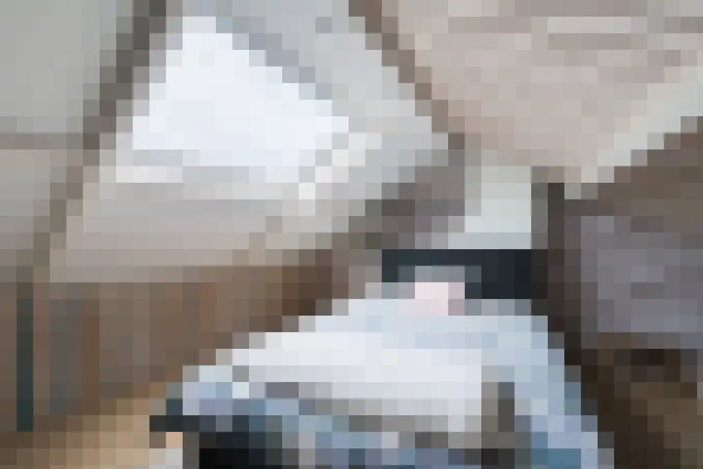 Prins Bernhardstraat 20 A Silvolde thumbnail 35