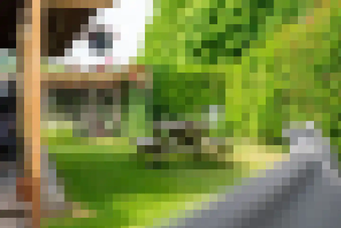 Prins Bernhardstraat 20 A Silvolde thumbnail 42