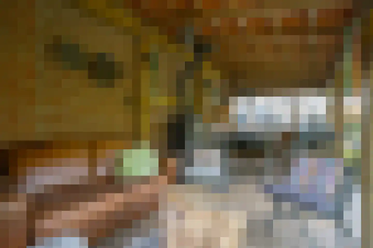 Prins Bernhardstraat 20 A Silvolde thumbnail 43