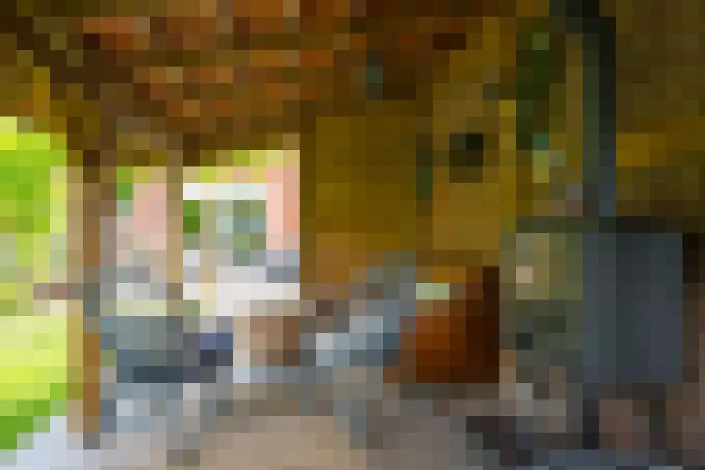 Prins Bernhardstraat 20 A Silvolde thumbnail 45