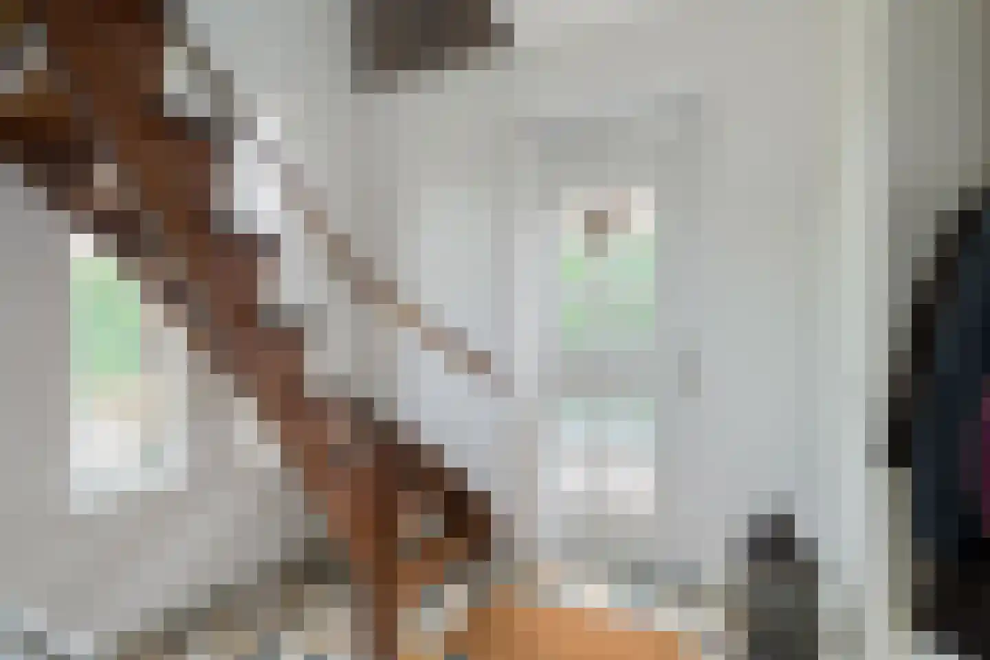 Prins Bernhardstraat 20 A Silvolde thumbnail 7