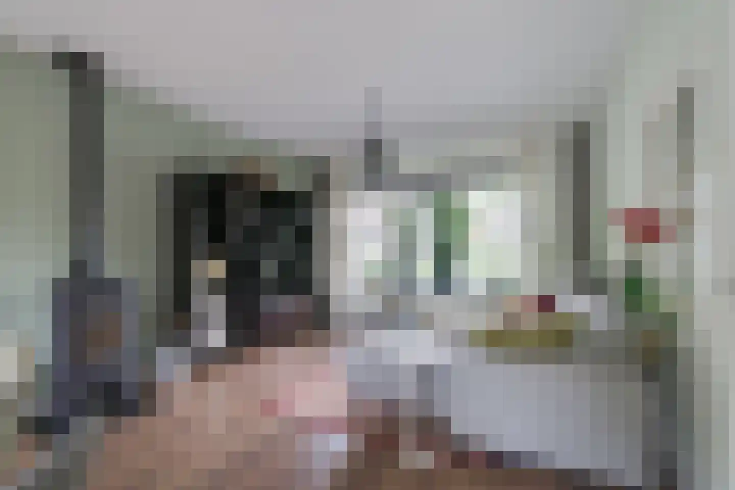 Prins Bernhardstraat 20 A Silvolde thumbnail 9