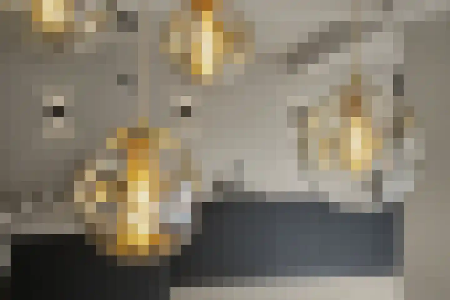 Prins Bernhardstraat 20 Bladel thumbnail 17