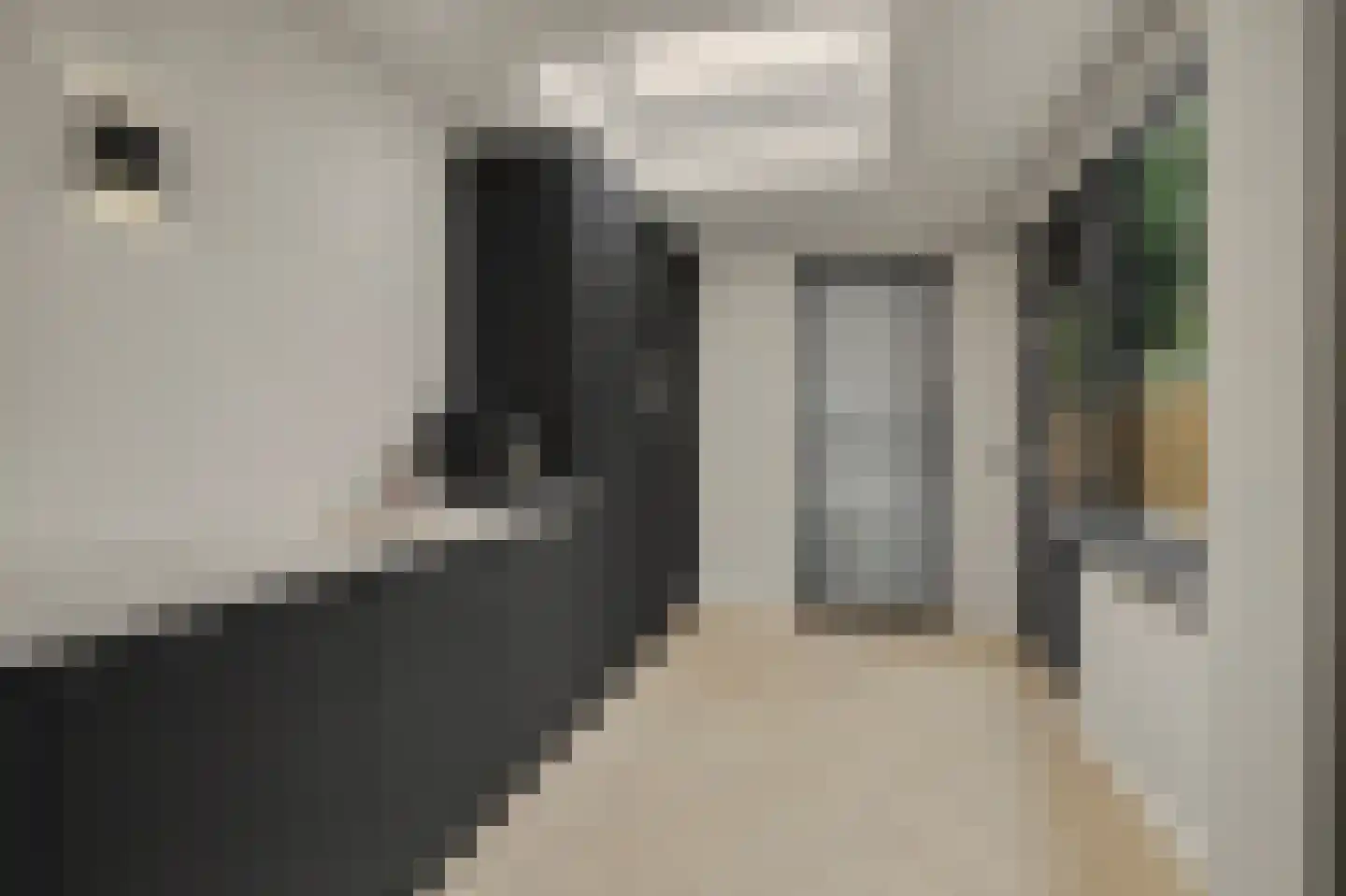 Prins Bernhardstraat 20 Bladel thumbnail 19