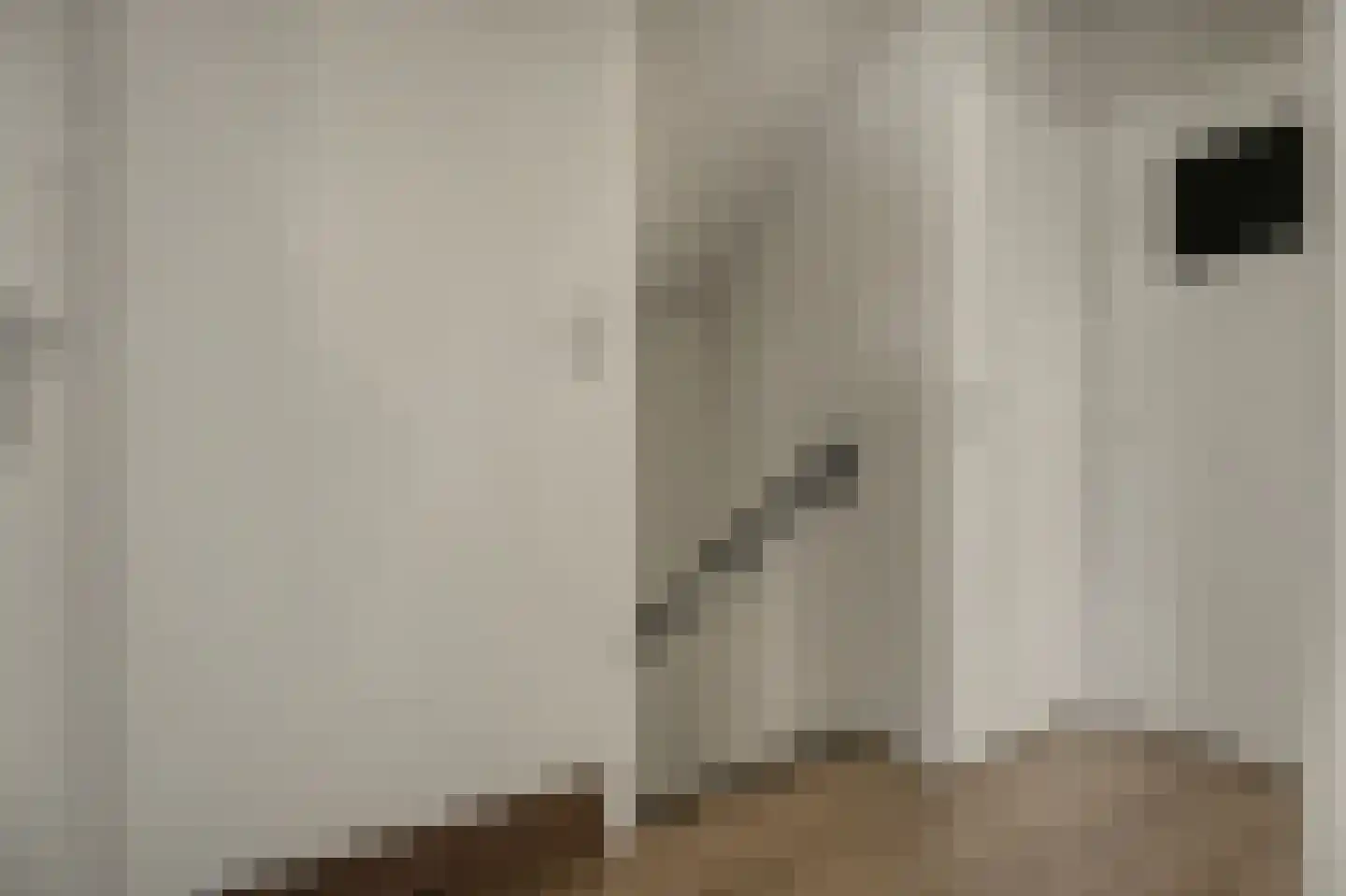 Prins Bernhardstraat 20 Bladel thumbnail 28