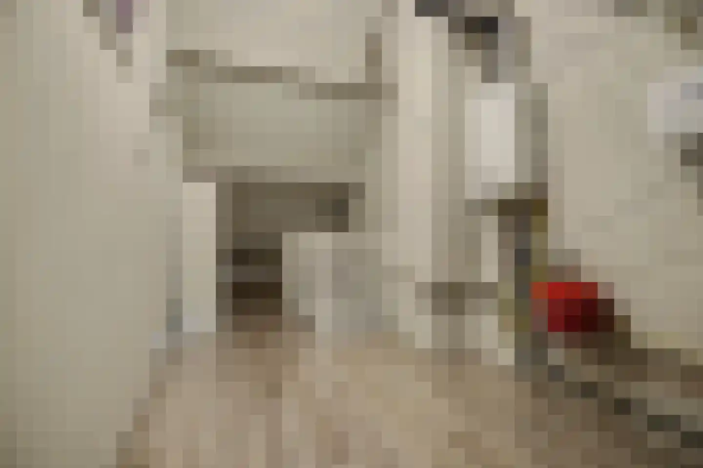 Prins Bernhardstraat 20 Bladel thumbnail 35