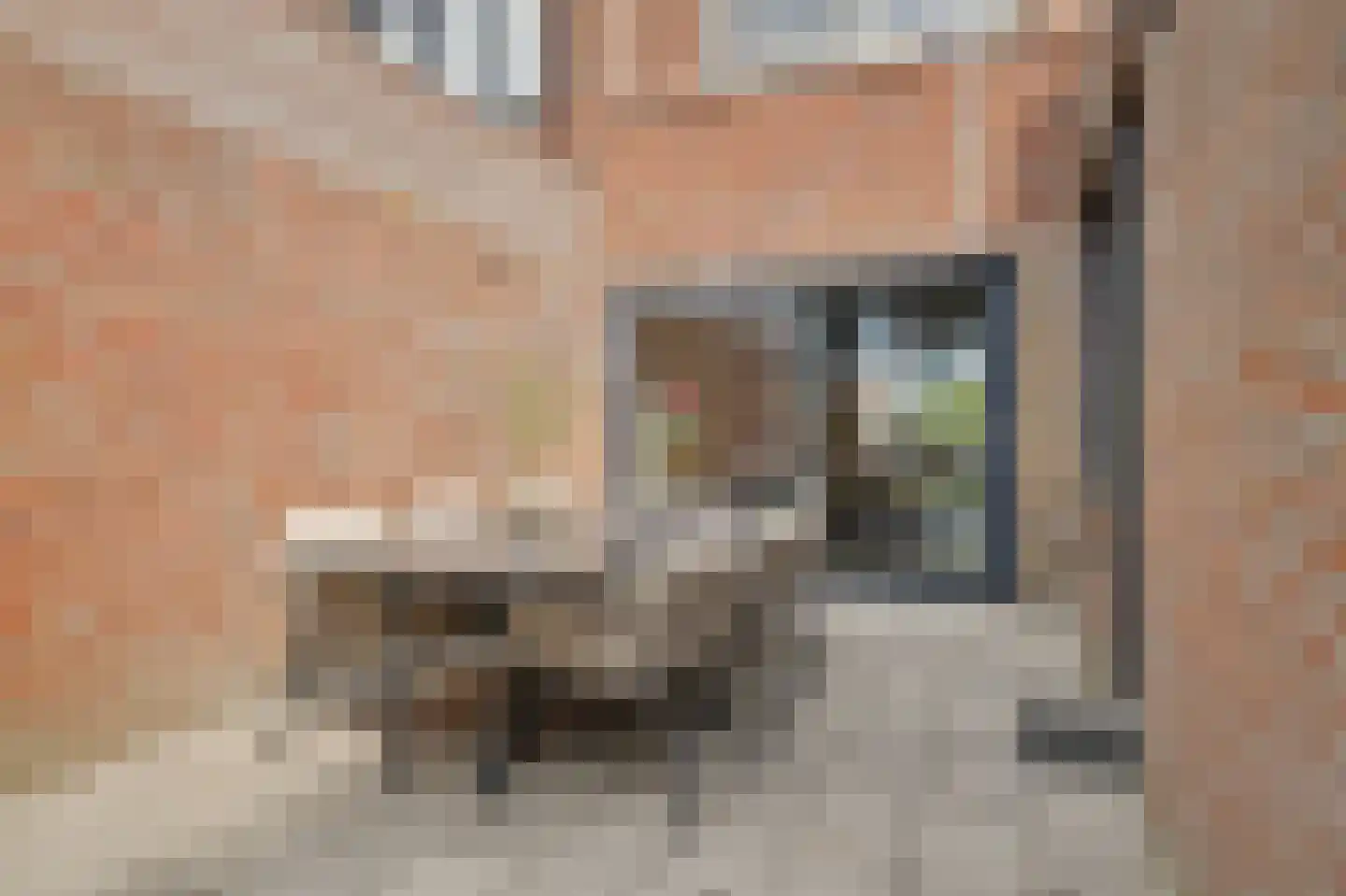 Prins Bernhardstraat 20 Bladel thumbnail 43