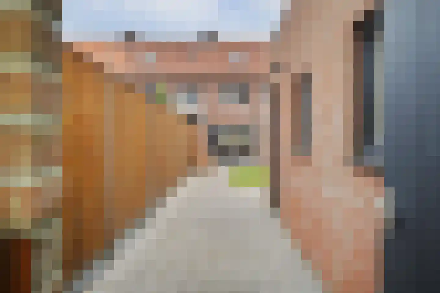 Prins Bernhardstraat 20 Bladel thumbnail 49