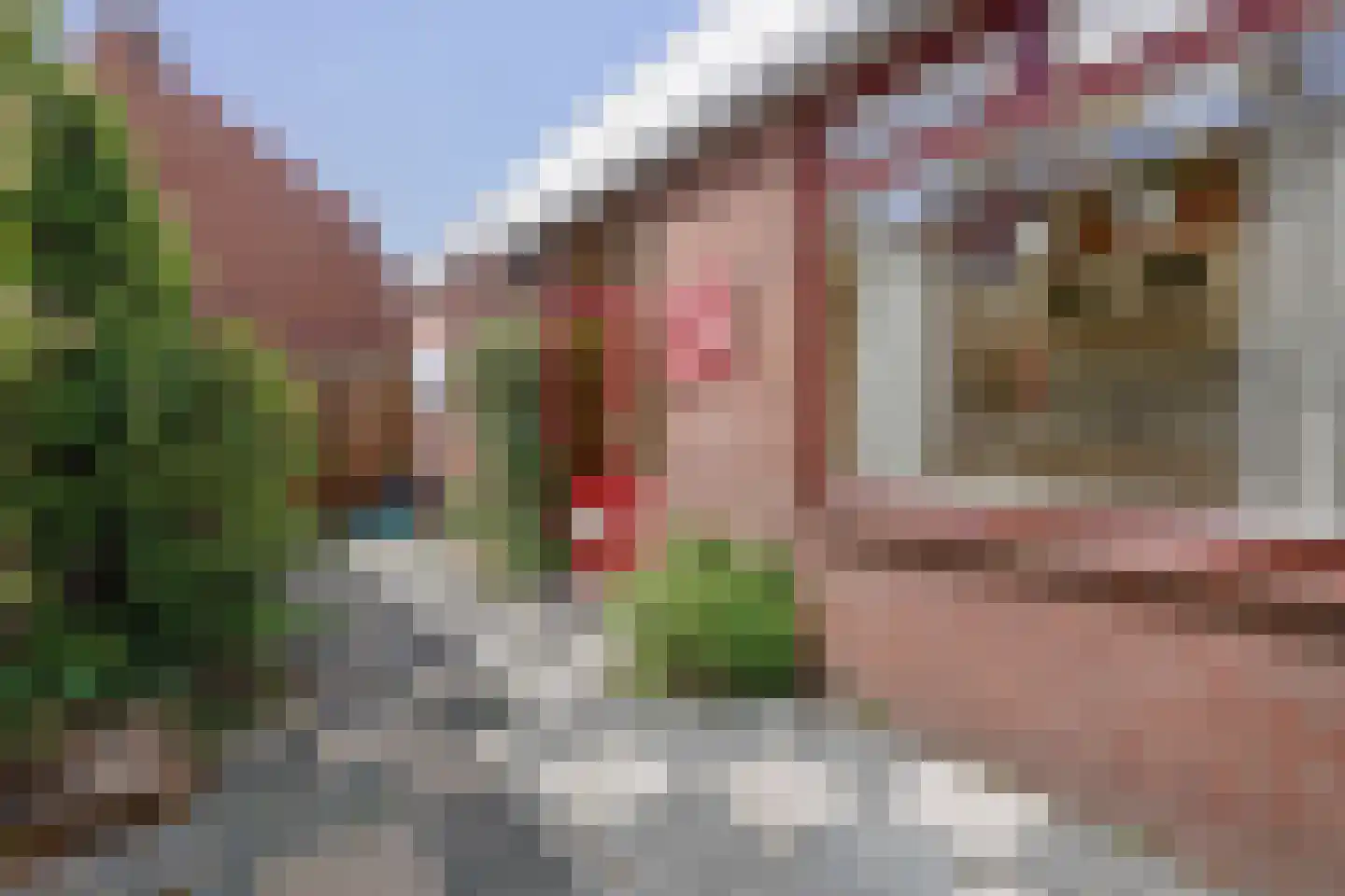 Prins Bernhardstraat 20 Stellendam thumbnail 26