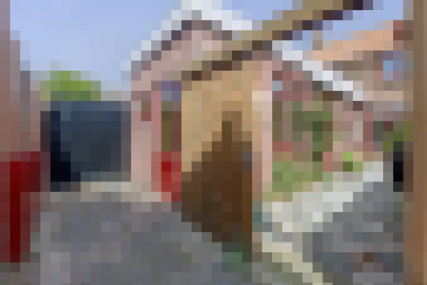 Prins Bernhardstraat 20 Stellendam thumbnail 27