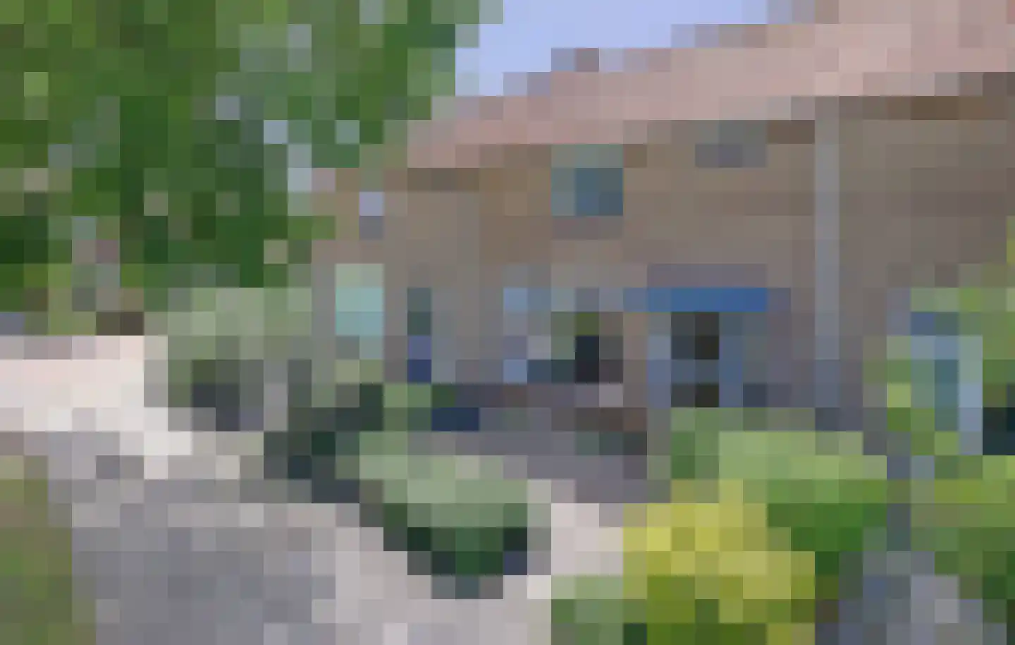 Prins Bernhardstraat 20 Stellendam thumbnail 29