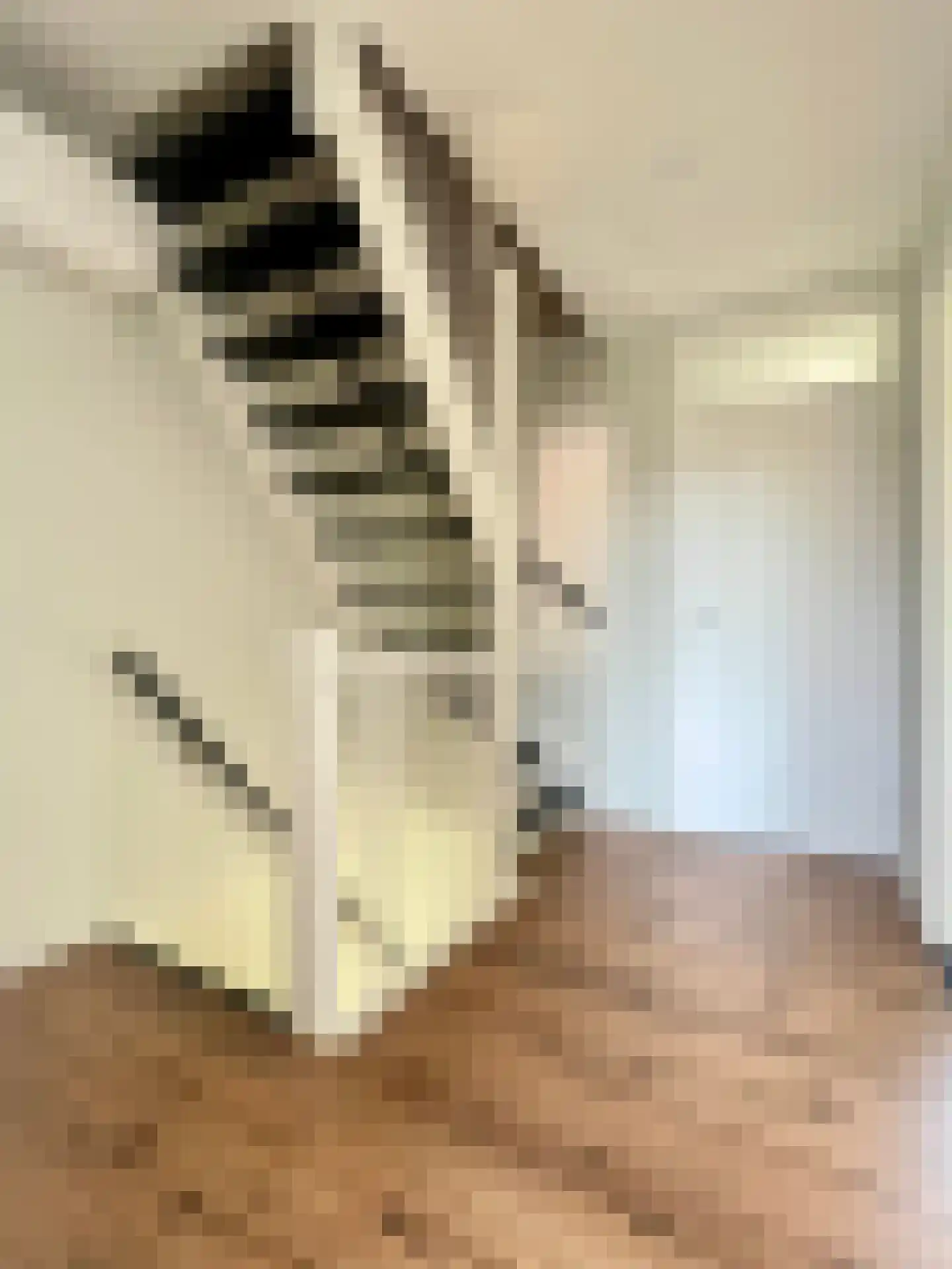 Prins Bernhardstraat 20 Waarder thumbnail 19