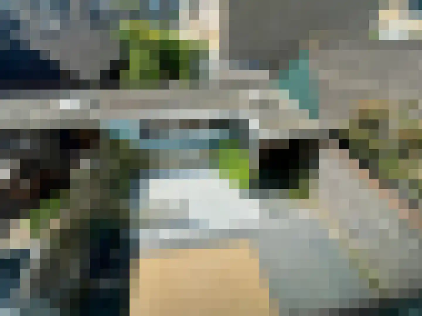 Prins Bernhardstraat 20 Waarder thumbnail 23