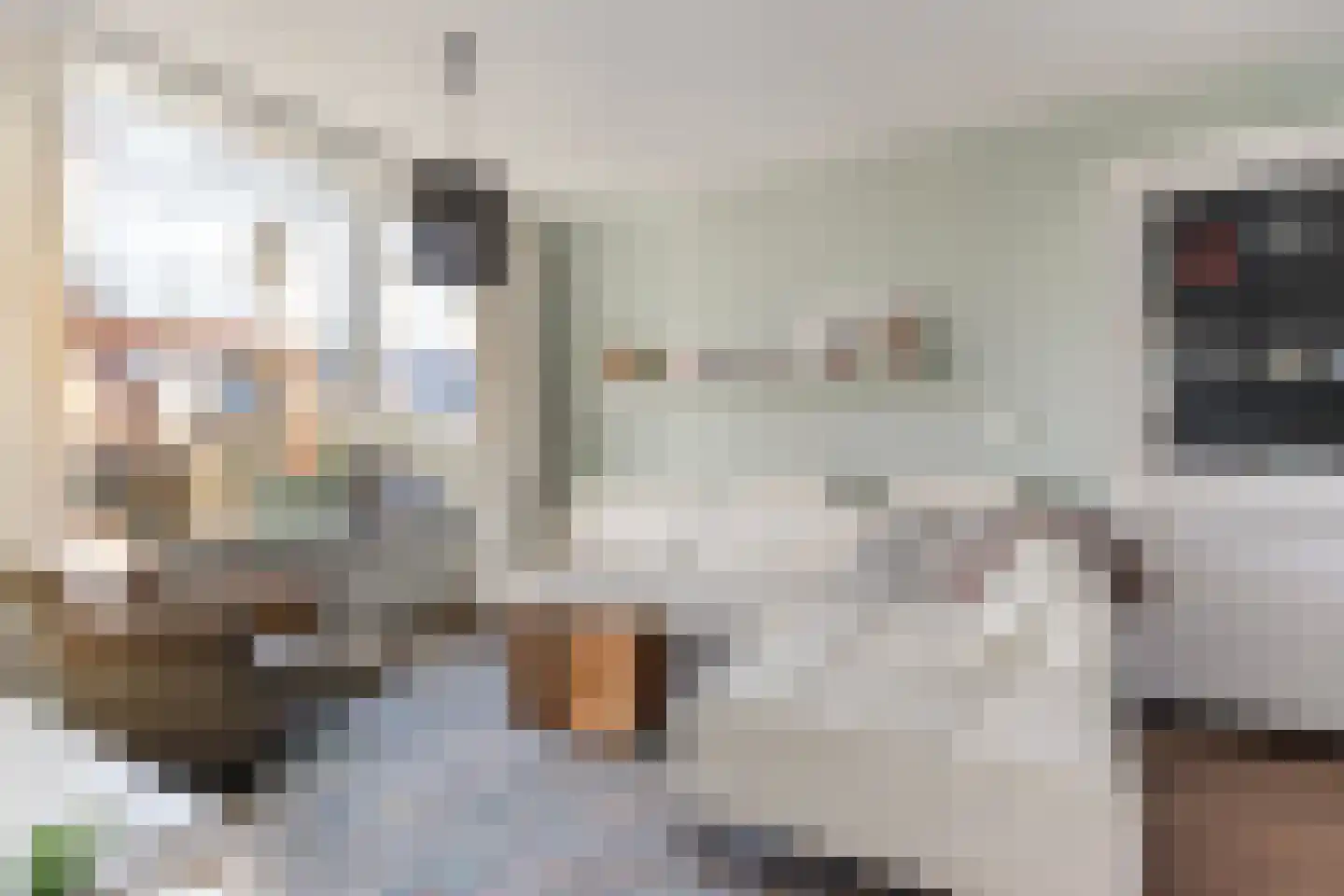 Prins Bernhardstraat 20 Waarder thumbnail 5