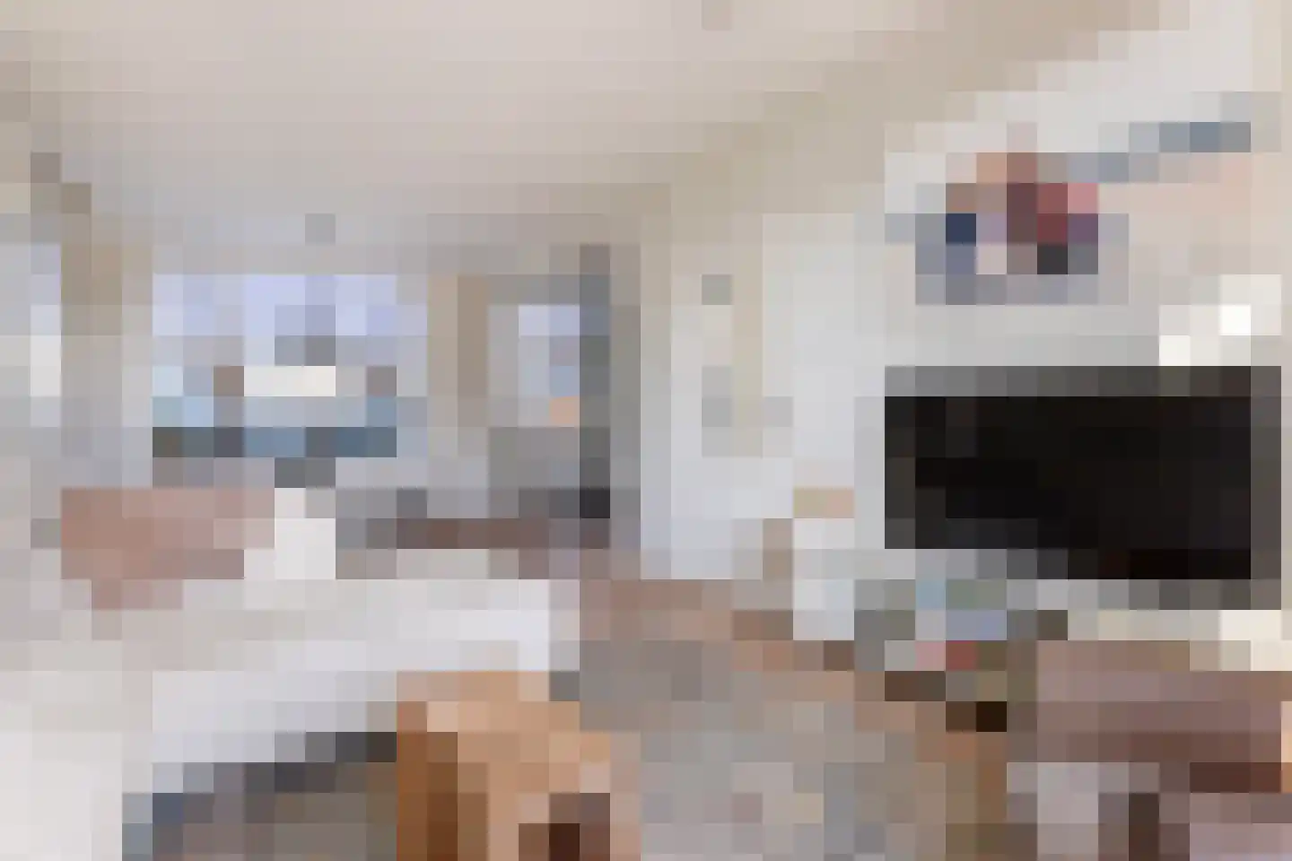 Prins Bernhardstraat 20 Waarder thumbnail 7