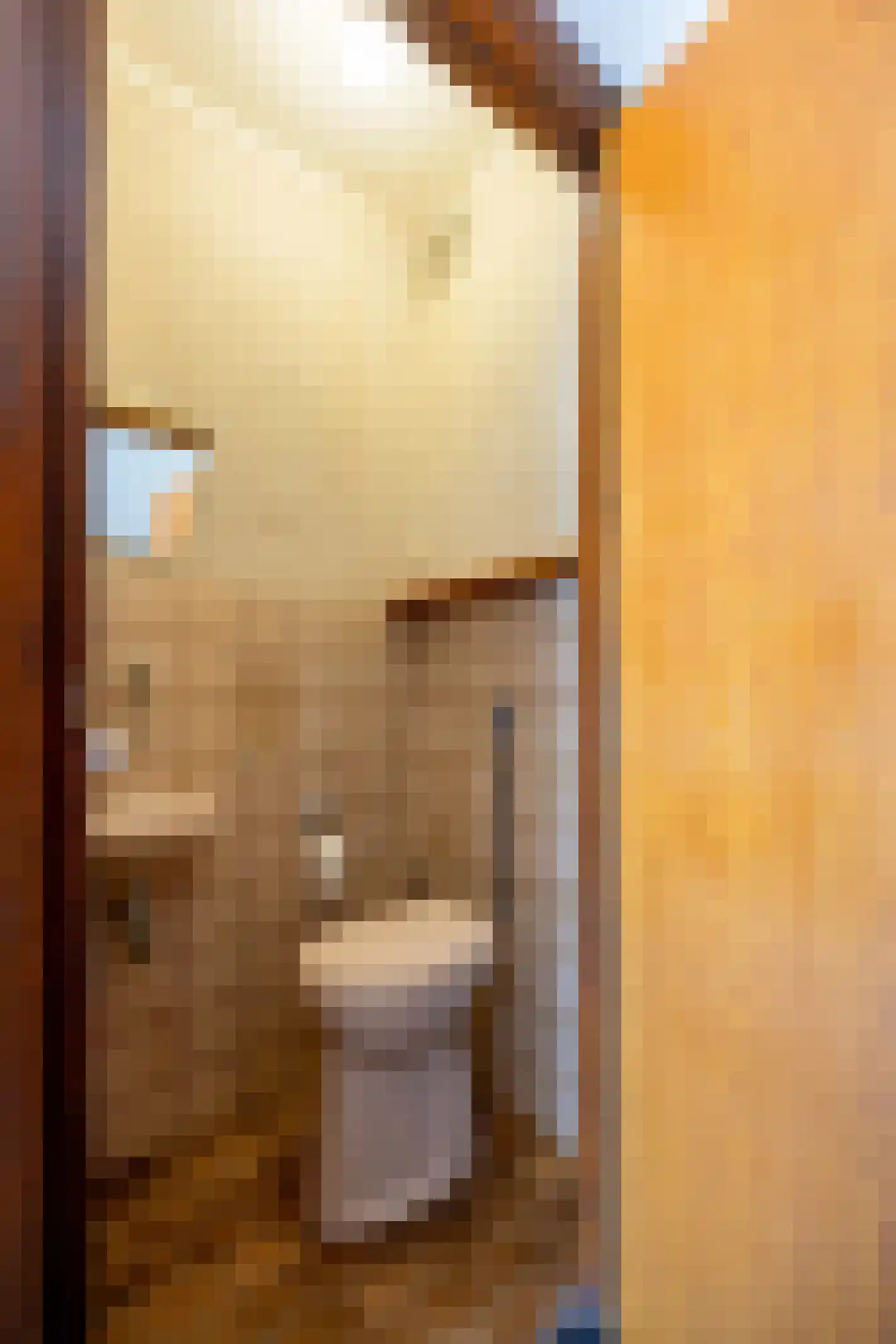 Prins Bernhardstraat 21 A Venray thumbnail 7