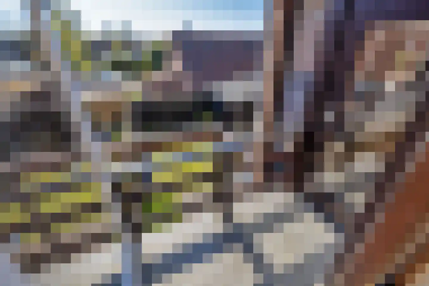 Prins Bernhardstraat 21 b Zuidland thumbnail 32