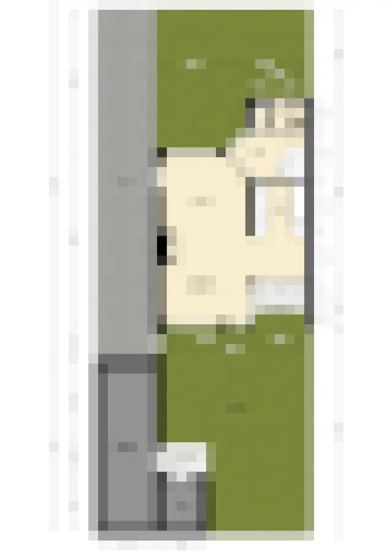 Prins Bernhardstraat 21 b Zuidland thumbnail 41