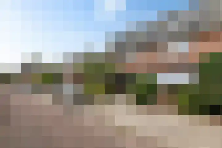 Prins Bernhardstraat 21 Hillegom thumbnail 34
