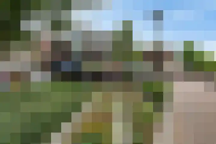 Prins Bernhardstraat 21 Hillegom thumbnail 35