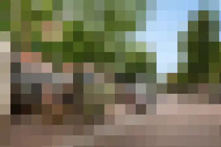 Prins Bernhardstraat 21 Hillegom thumbnail 36