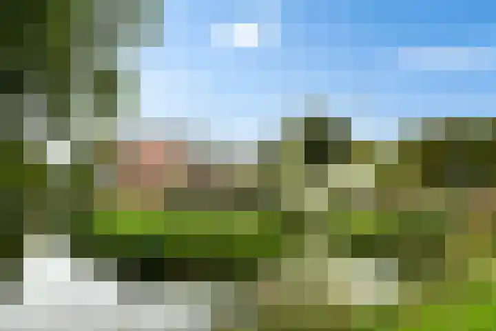 Prins Bernhardstraat 21 Hillegom thumbnail 37