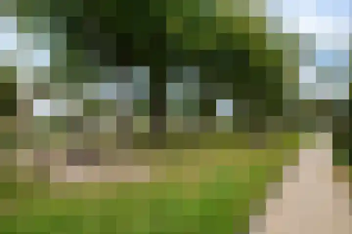 Prins Bernhardstraat 21 Hillegom thumbnail 38