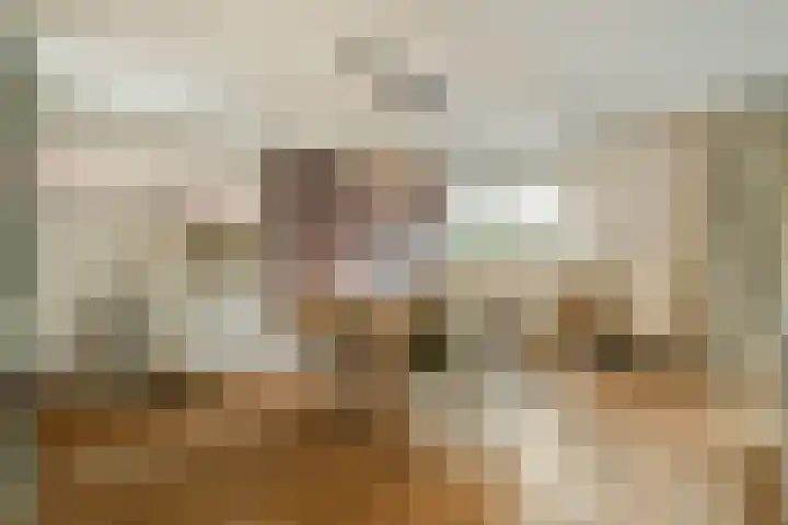 Prins Bernhardstraat 21 Sassenheim thumbnail 4