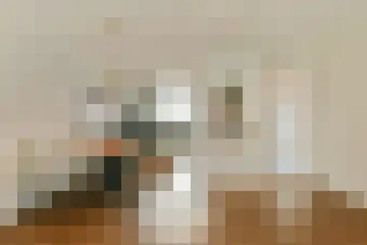 Prins Bernhardstraat 21 Sassenheim thumbnail 8