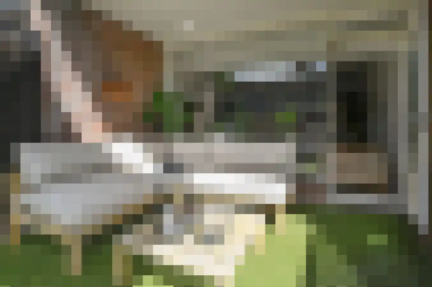 Prins Bernhardstraat 22 Hilversum thumbnail 11