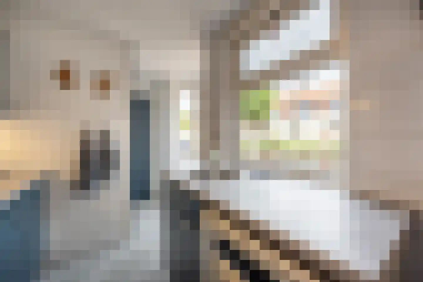 Prins Bernhardstraat 22 Oud-Beijerland thumbnail 17