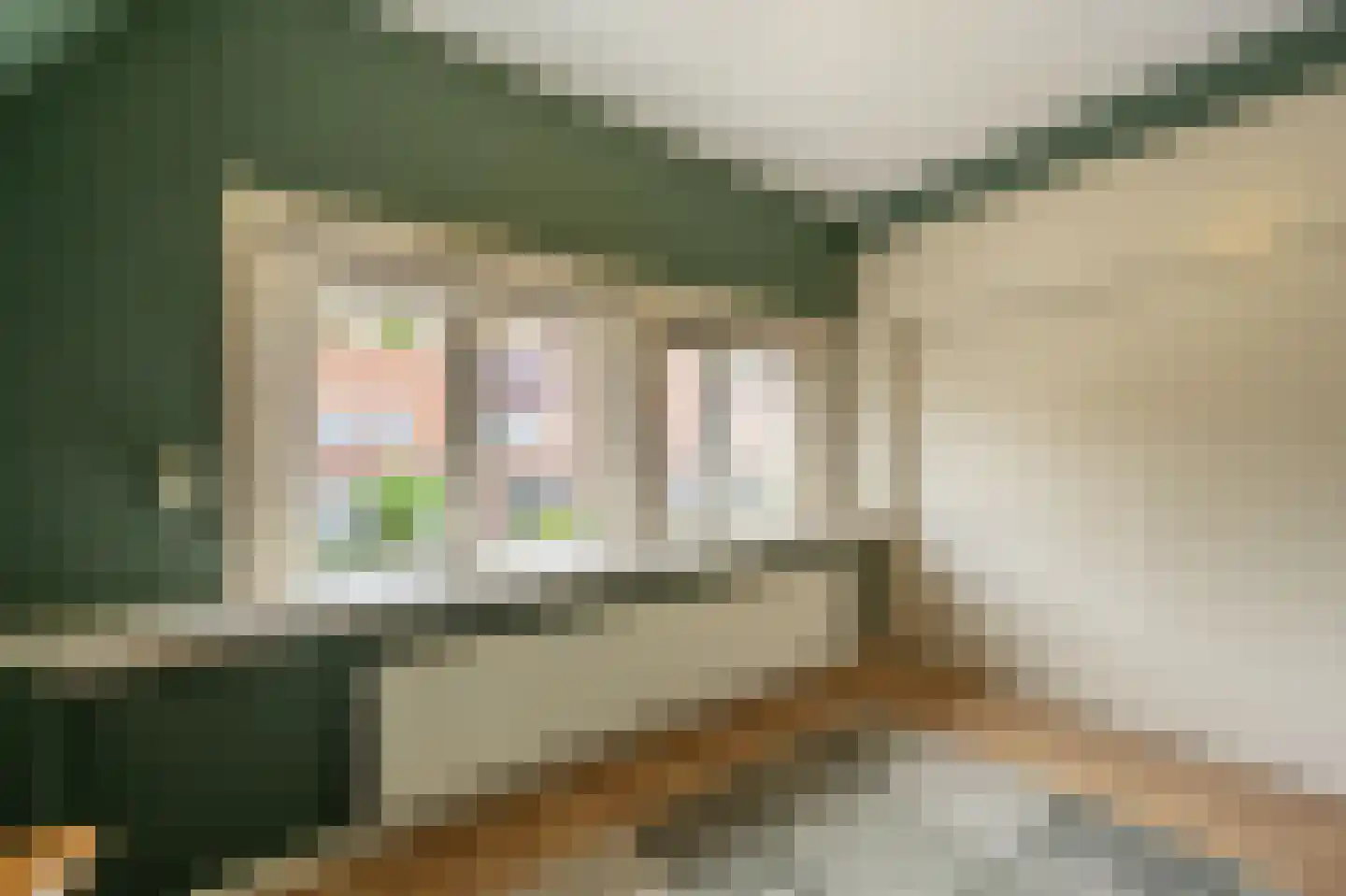 Prins Bernhardstraat 22 Oud-Beijerland thumbnail 25