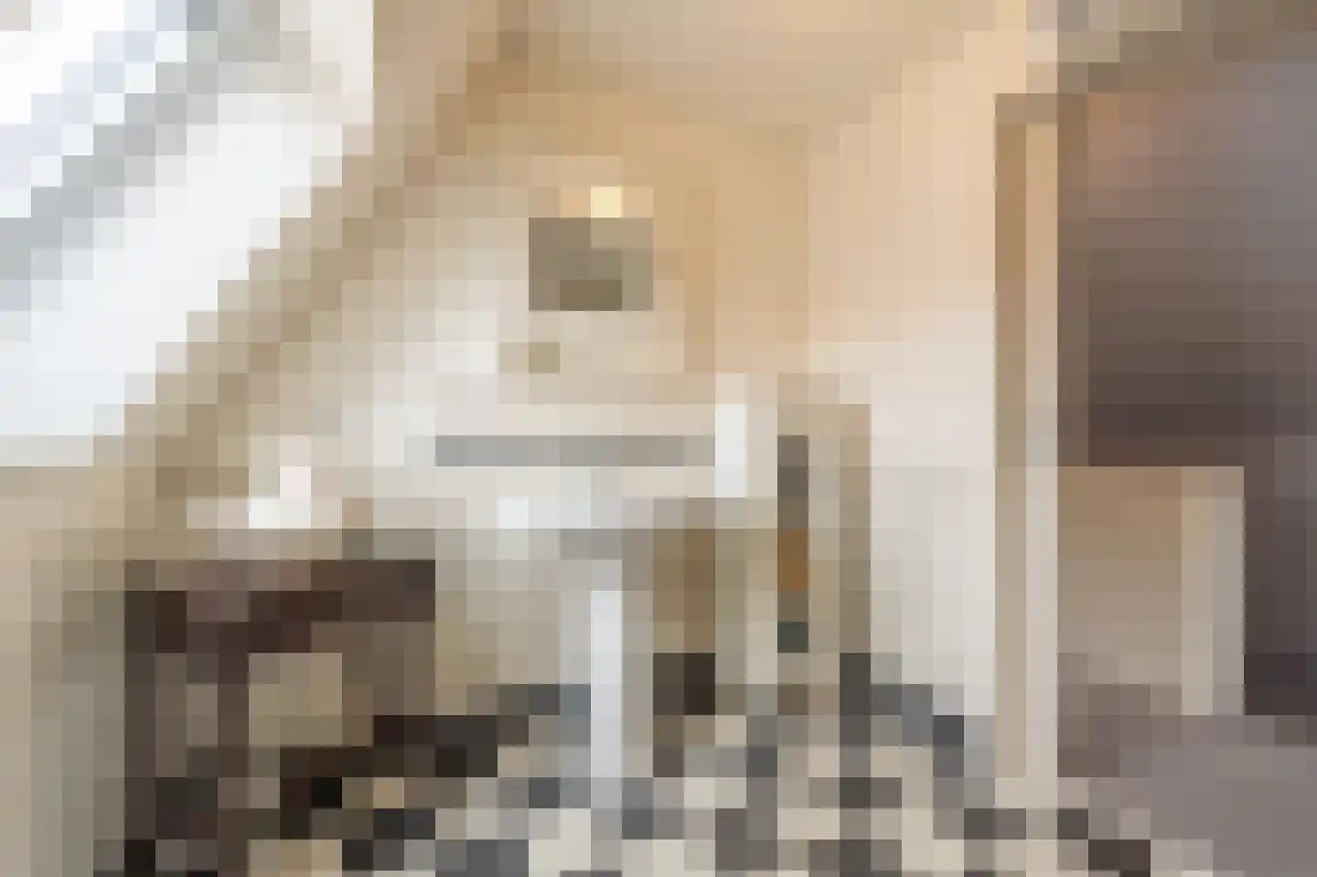 Prins Bernhardstraat 22 Oud-Beijerland thumbnail 29