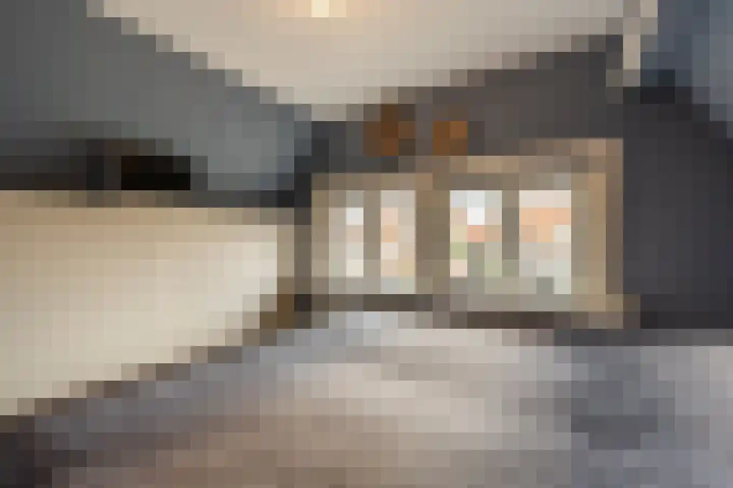Prins Bernhardstraat 22 Oud-Beijerland thumbnail 33
