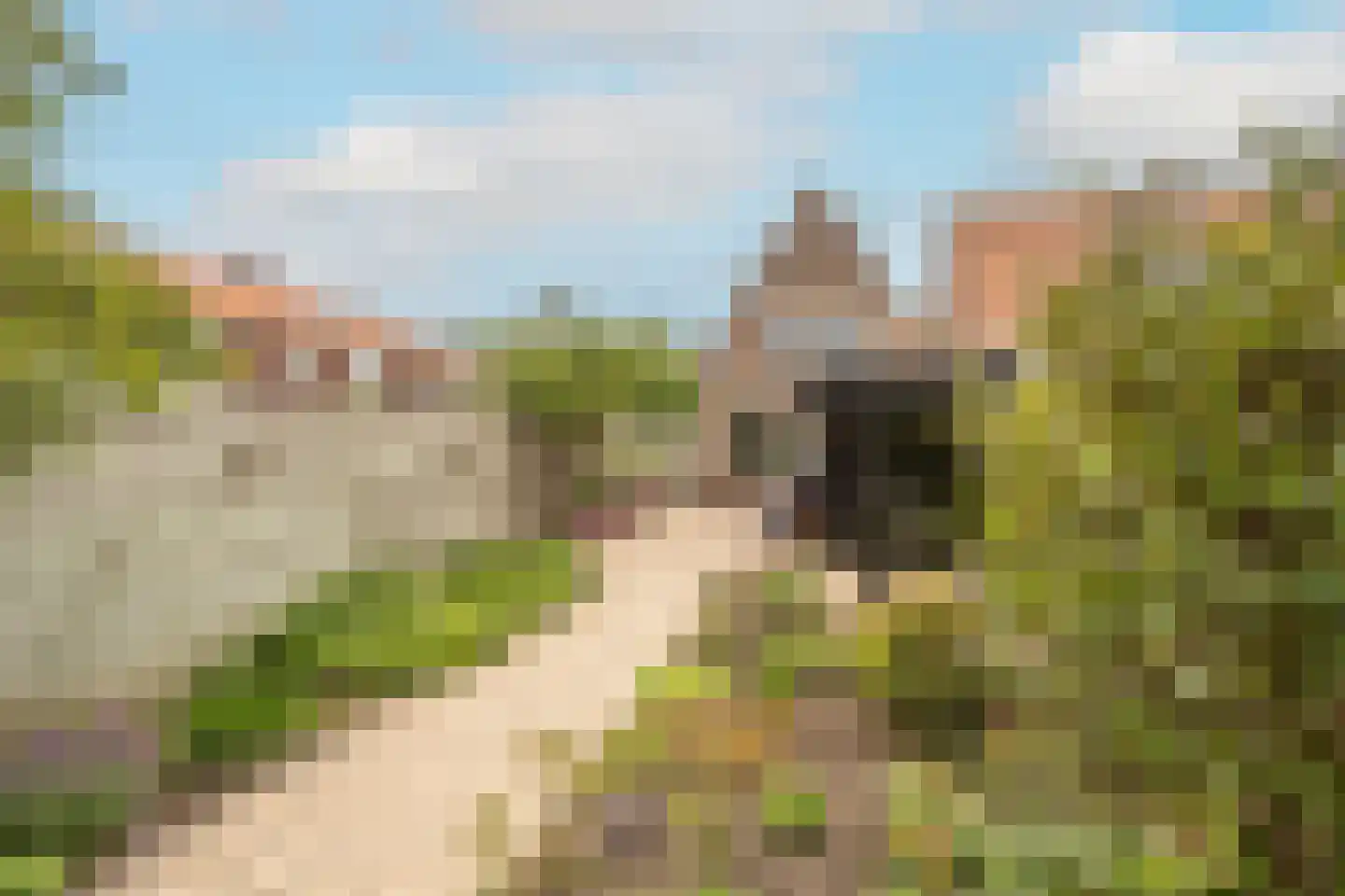 Prins Bernhardstraat 22 Oud-Beijerland thumbnail 36