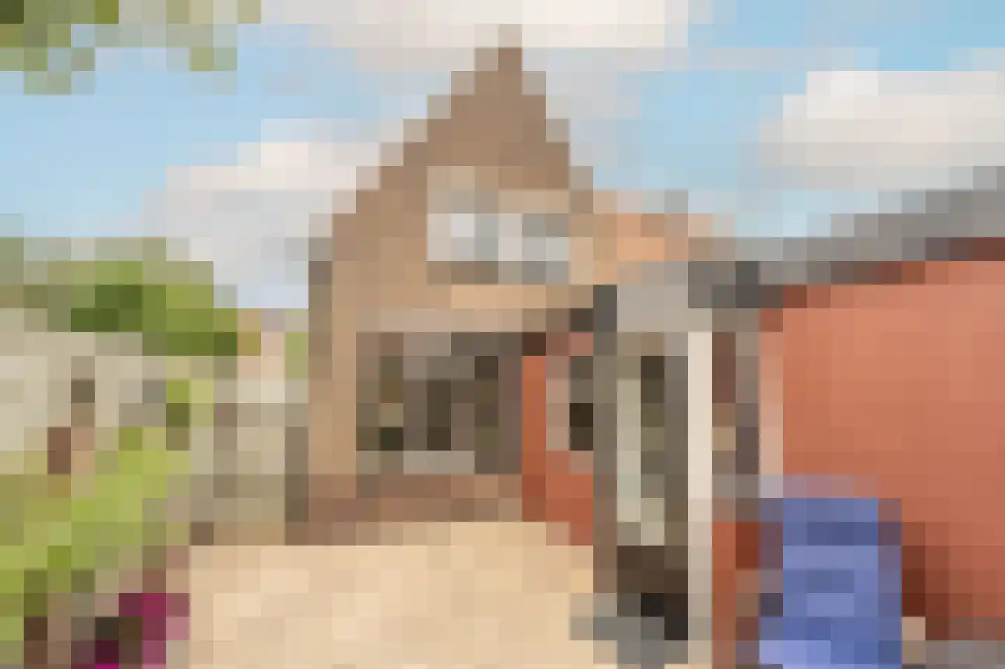 Prins Bernhardstraat 22 Oud-Beijerland thumbnail 40