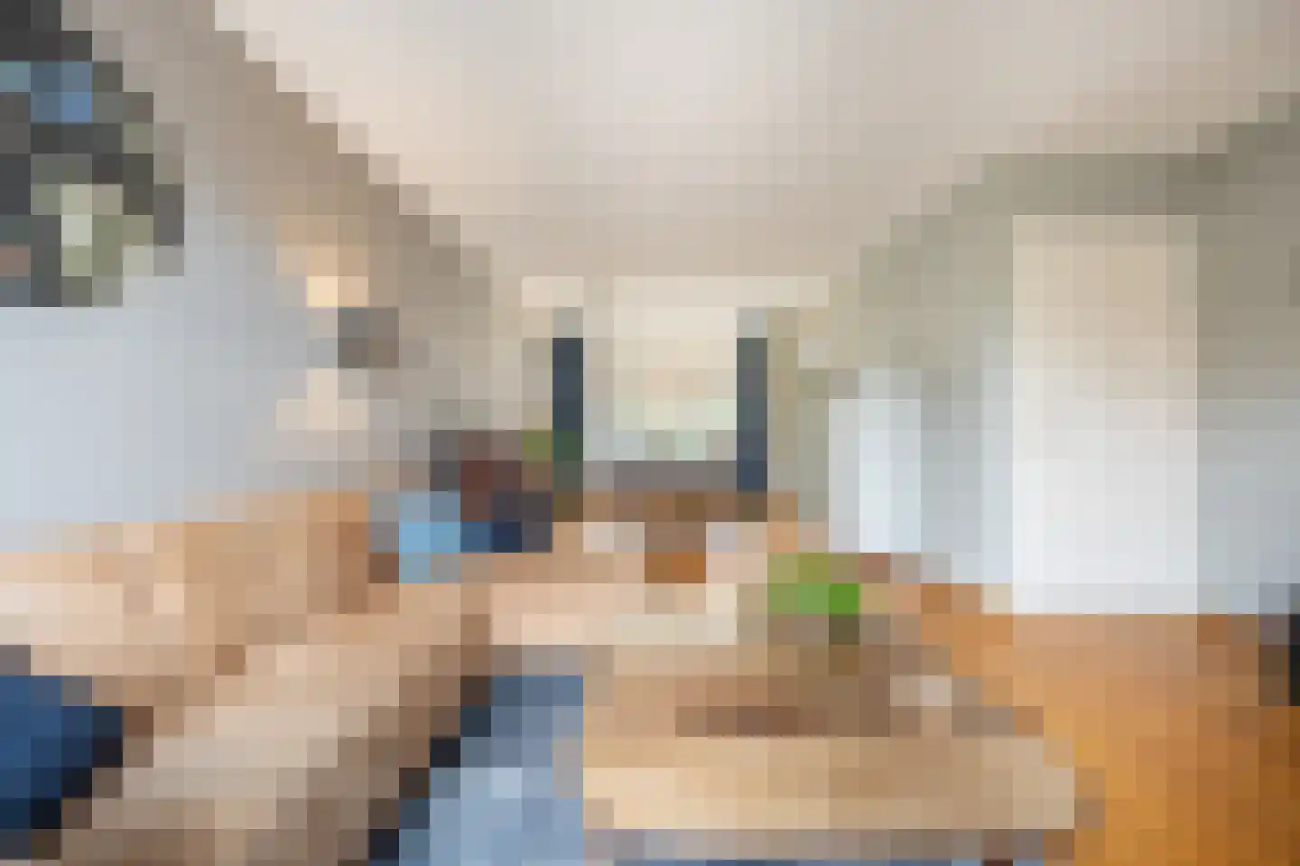 Prins Bernhardstraat 22 Oud-Beijerland thumbnail 6