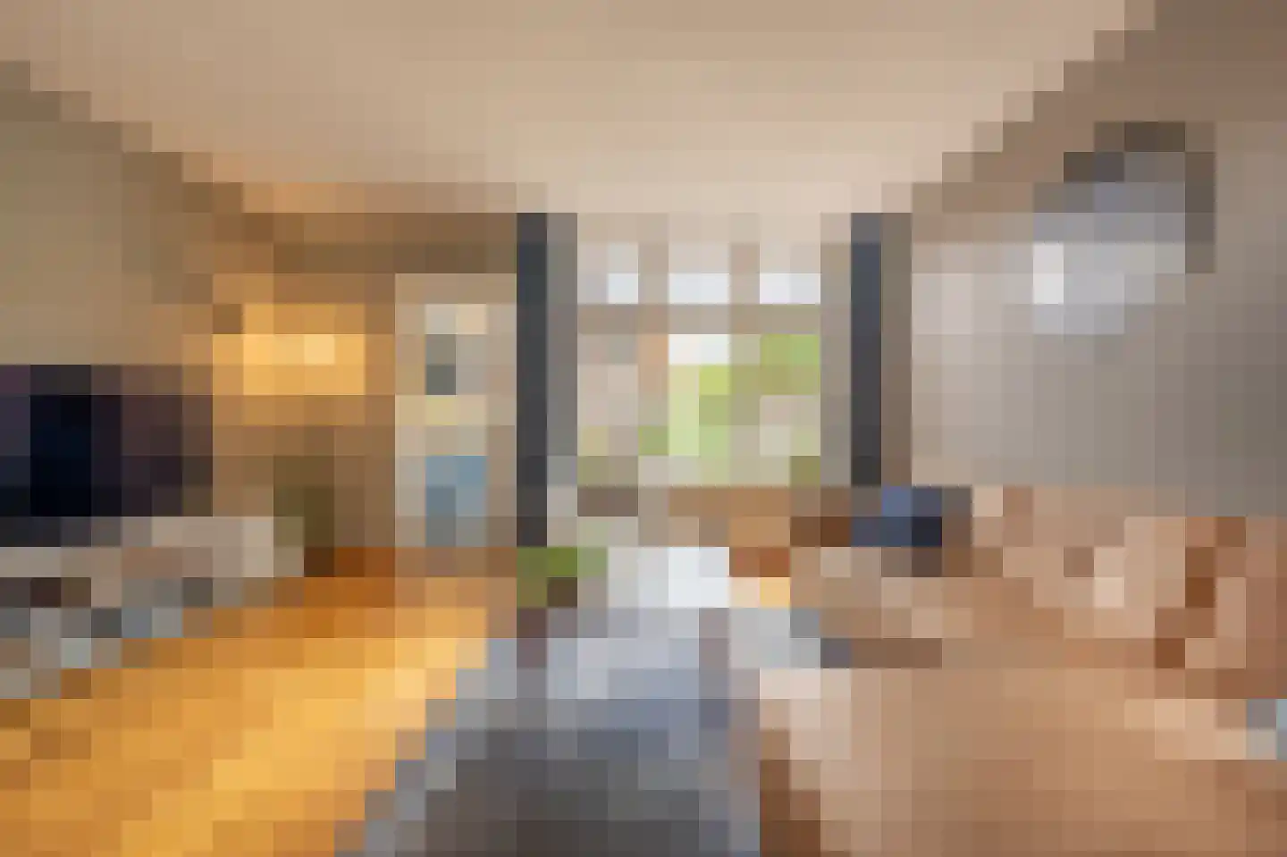Prins Bernhardstraat 22 Oud-Beijerland thumbnail 8