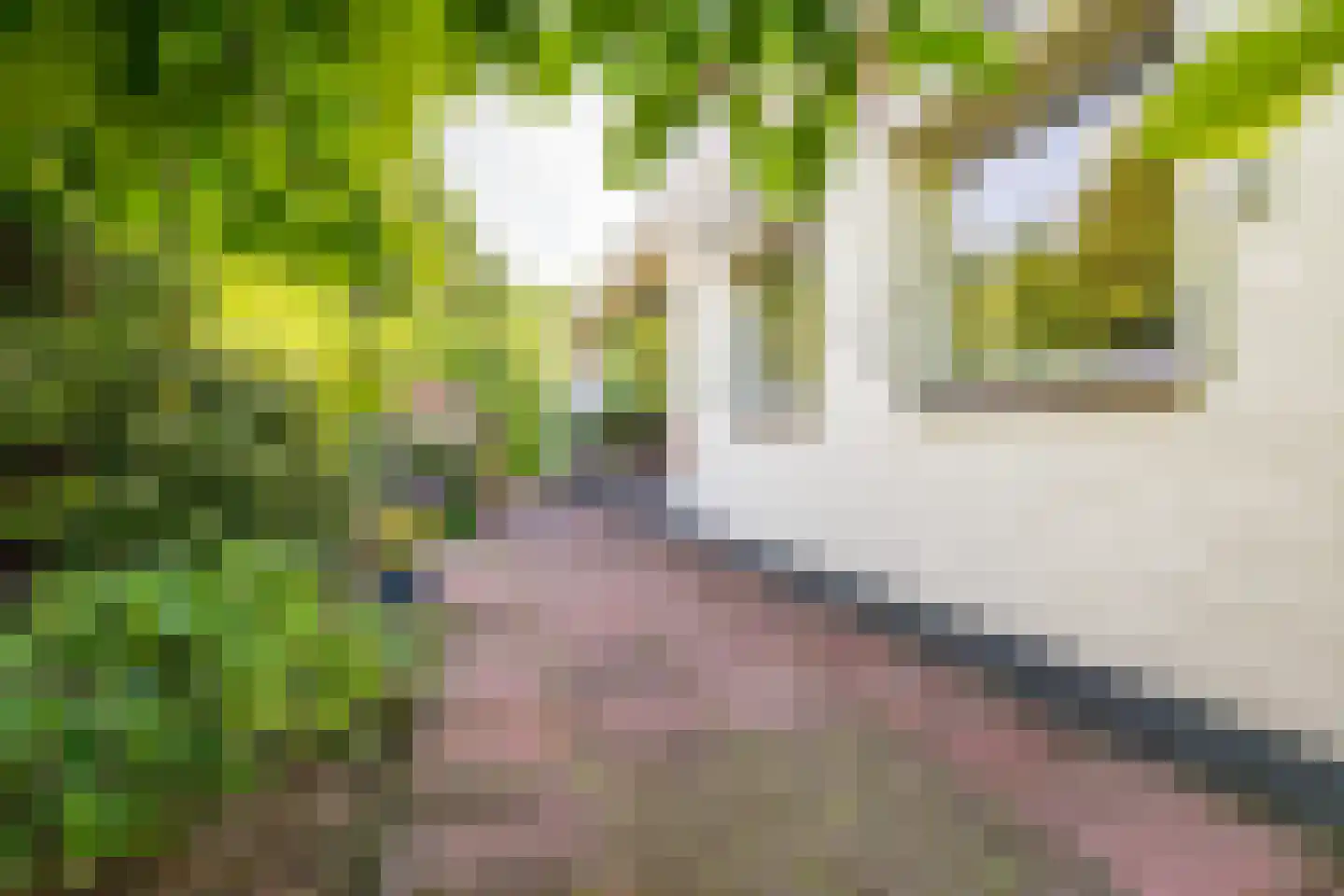 Prins Bernhardstraat 22 Vianen thumbnail 37