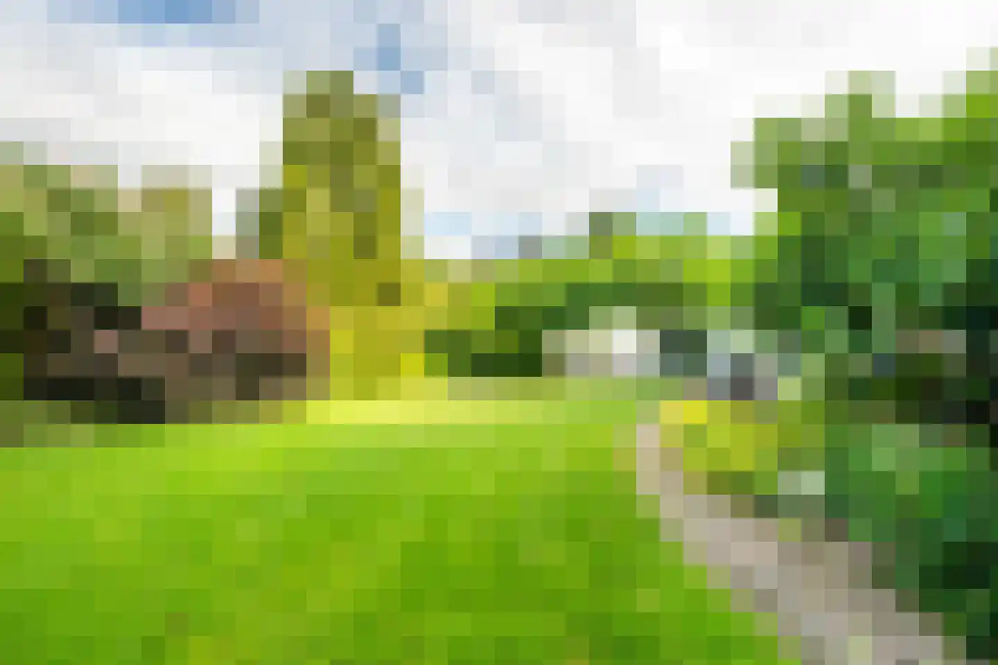 Prins Bernhardstraat 22 Vianen thumbnail 43