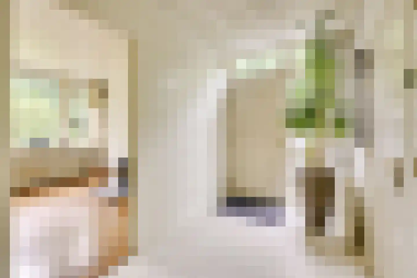 Prins Bernhardstraat 22 Vianen thumbnail 5